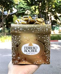 Socola sữa vụn hạt phỉ Ferrero Rocher hộp nơ 225g